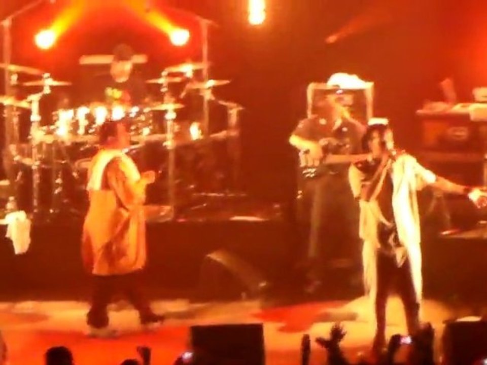 Dub inc - Ma mélodie Zénith de Saint-Étienne 18/12/2010