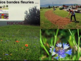 Témoignage Ricoh Partie 1