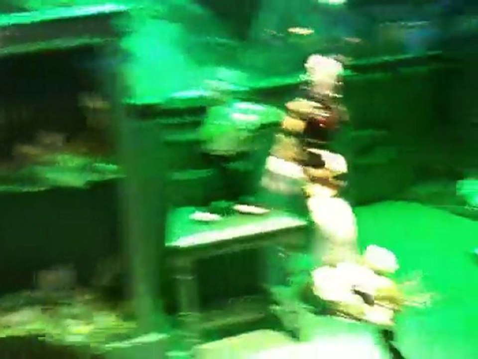 Vitrine de Noël les Printemps à Paris 2010