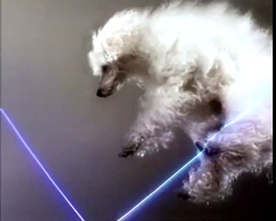 Vitalic - Poney part I