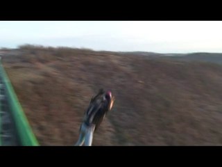 Mon premier saut de BASE