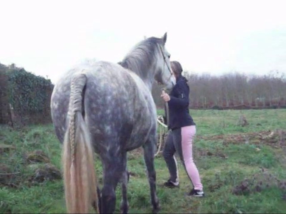 Dimanche séance de plat avec Cannelle