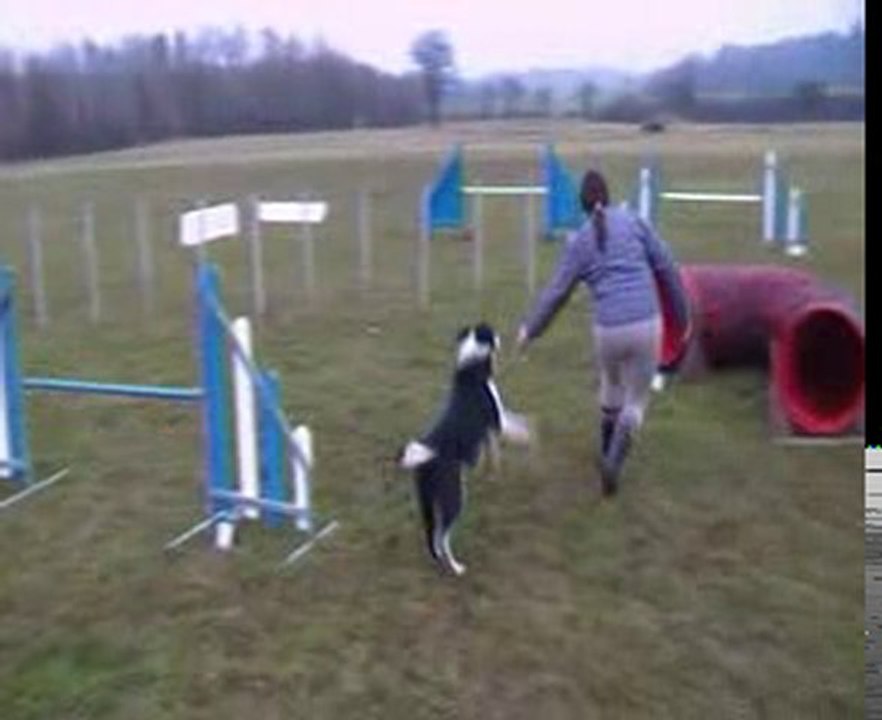 démonstration d'agility snoopy malhoreau vidéo 9
