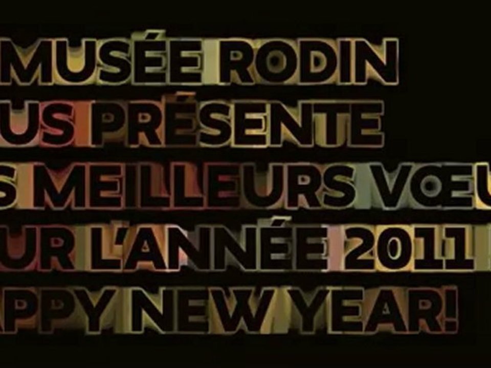 Voeux 2011