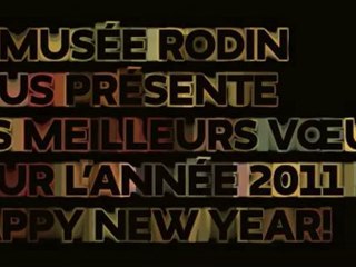 Voeux 2011