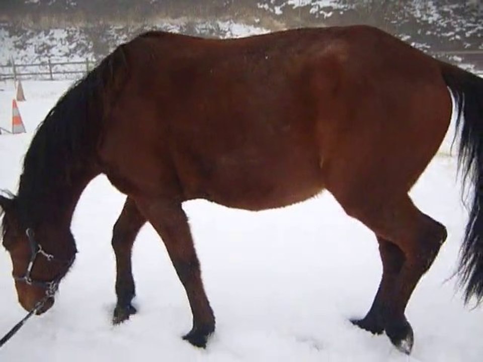 Roulons-nous dans la neige