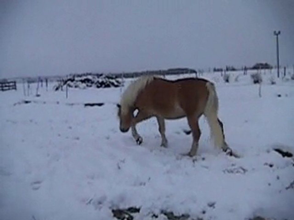 Valentin hiver 2010