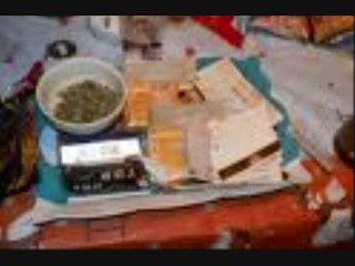 allo papa bedo Charly