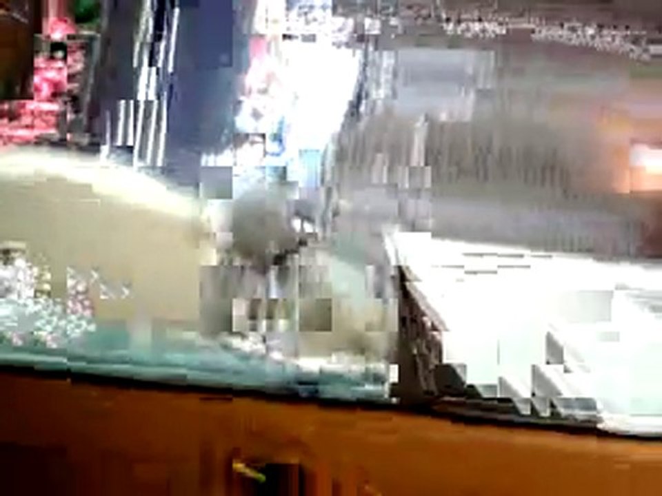 bug gta iv