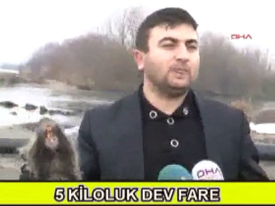 Dev Fare Yakalandı -