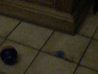 toutouille, mon furet !