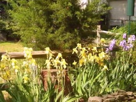 Homes for Sale - 239 Coolidge Ave - Absecon, NJ 08201 - Brenda Lawn