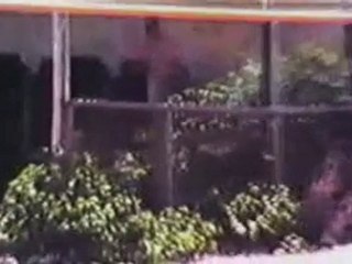 الاكاديمية المتعددة الاختصاصات كما تركها الاسبان