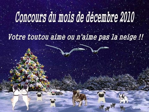 concours photos de décembre 2010