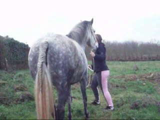 Cannelle dimanche