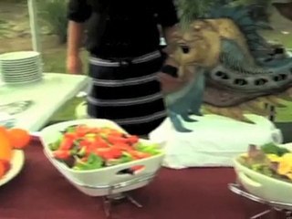 Function Catering Kingston BBQ To You QLD