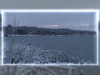 2011 Voeux Vélo Lorraine