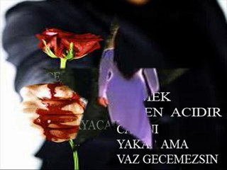 Gülden karaböcek    Aci Dolu Su Gonlum