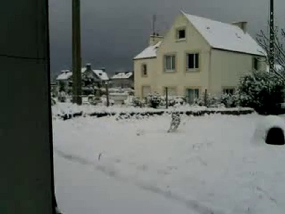 neigenov2010