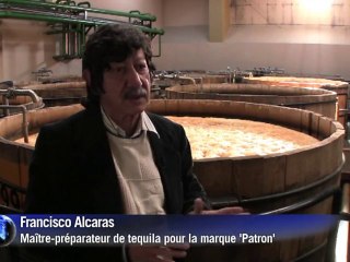 La tequila haut de gamme ravive la production mexicaine