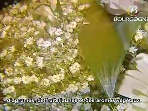 Dégustation des vins blancs de Bourgogne - BIVB