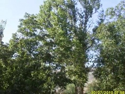 TEMMUZ 2010 İRFAN VURAL (irfan-vural@hotmail.com)