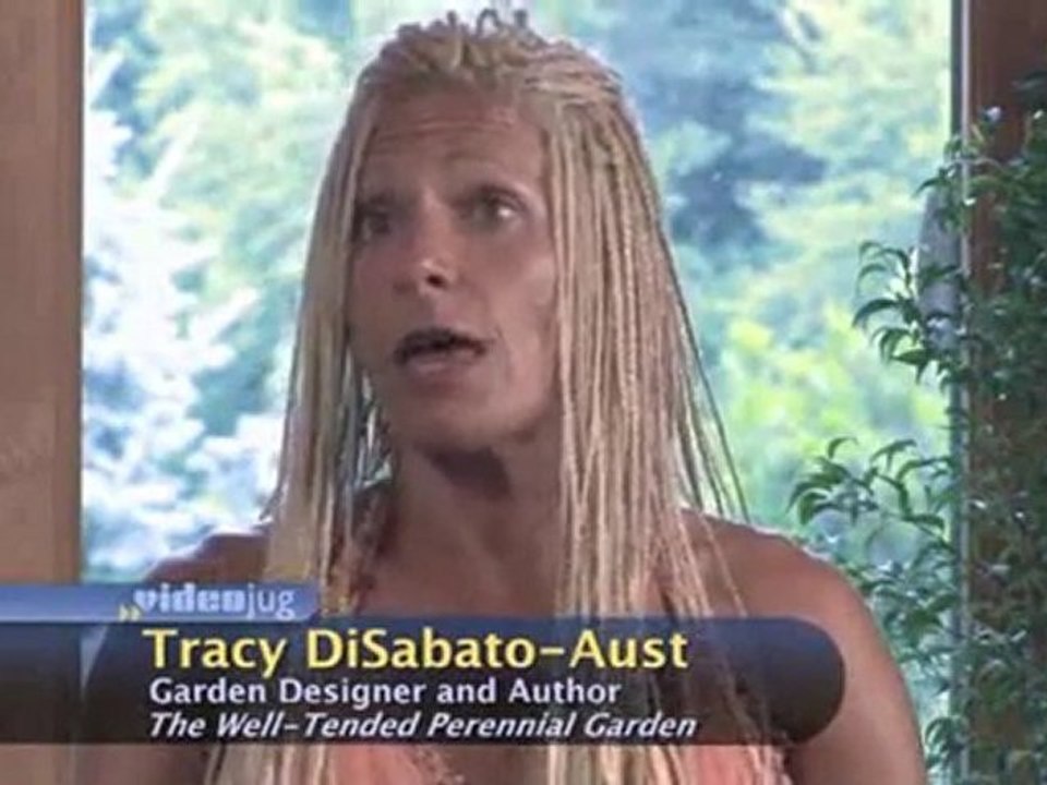 Garden Watering : When is the best time of day to water garden plants?