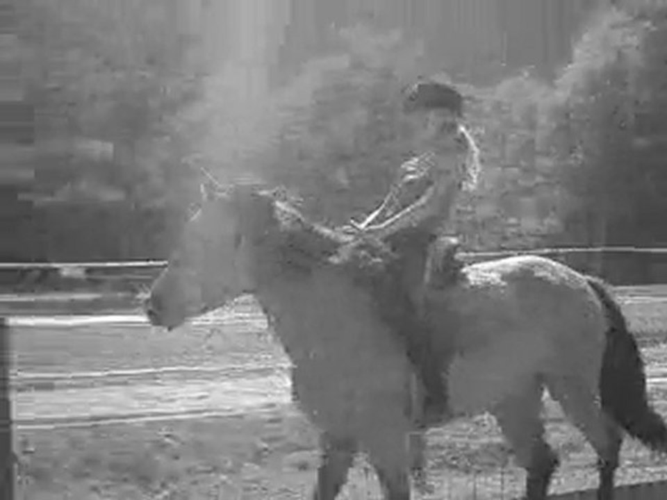 Plus qu'une passion...