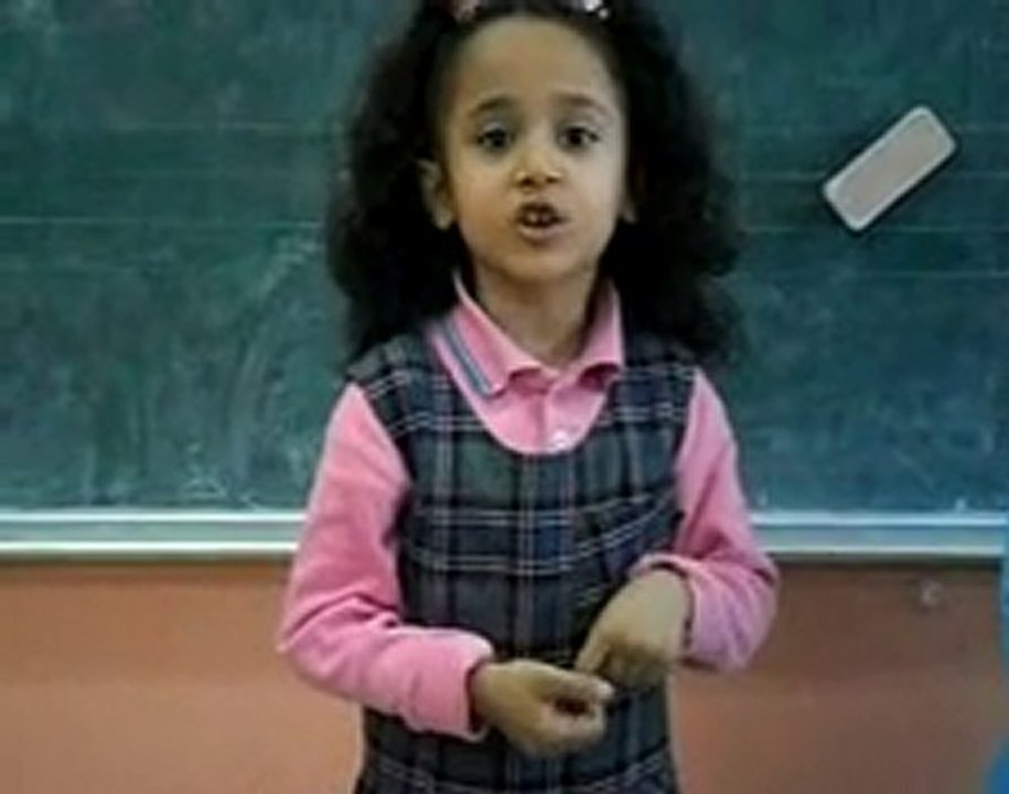 yerlimalışiir
