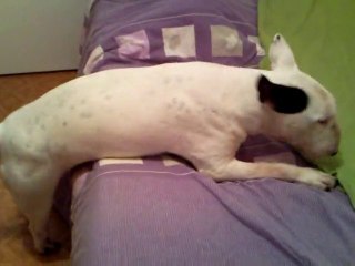 Mani qui va se coucher... avec du mal lol