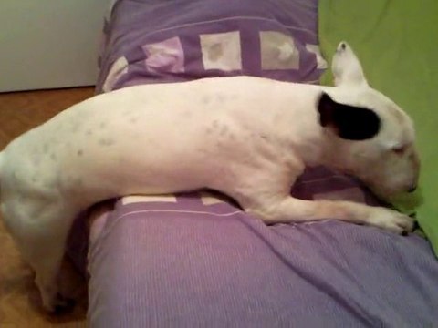 Mani qui va se coucher... avec du mal lol