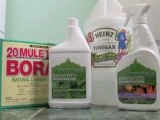 Cleaning Products : What kind of cleaning products are better for my family and the environment?