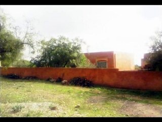 كارثة بيئية في ثانوية الفضيلة تافنكولت تارودانت