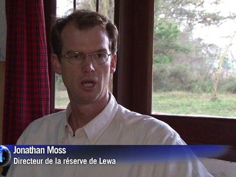 La survie des rhinocéros menacée par le braconnage