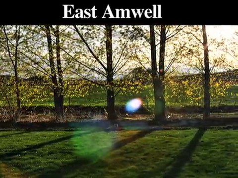 Emergency Tree Removal Service | East & West Amwell-Lawrenc