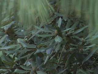 Judith Pennington: Meditation to Find True Career Calling