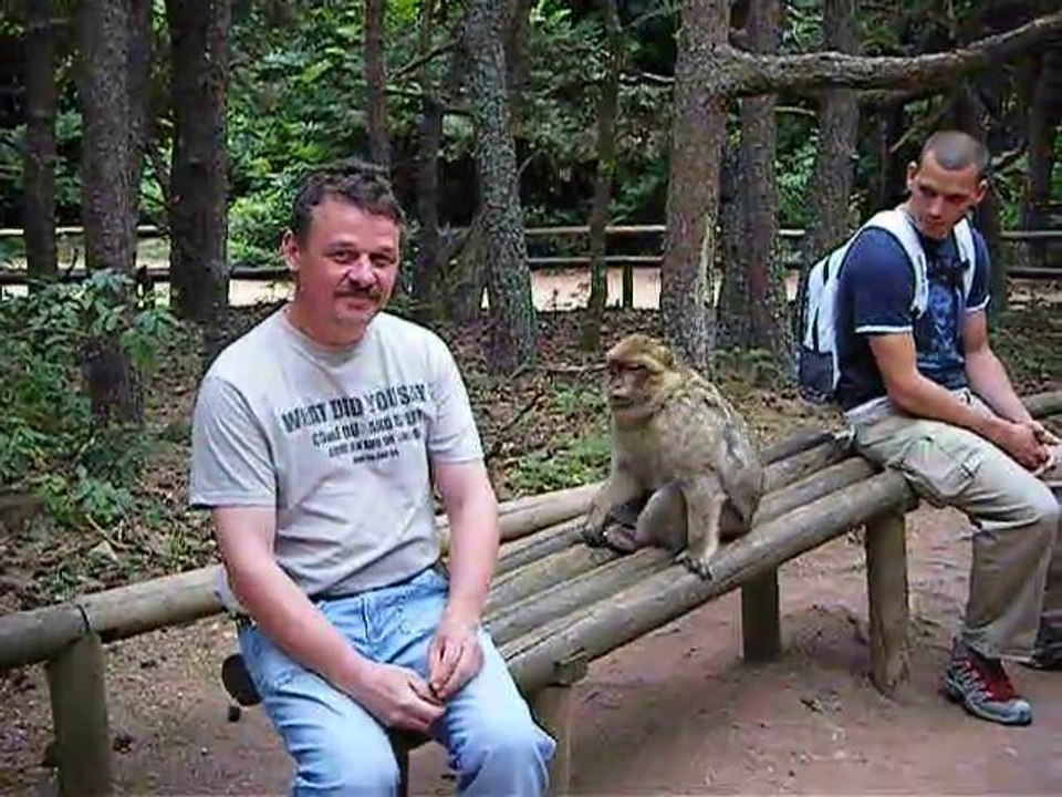 montagne des singes 001