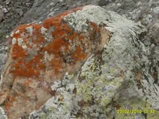 BEYAĞIL RESİMLERİ ŞUBAT 2010-1A-İRFAN VURAL