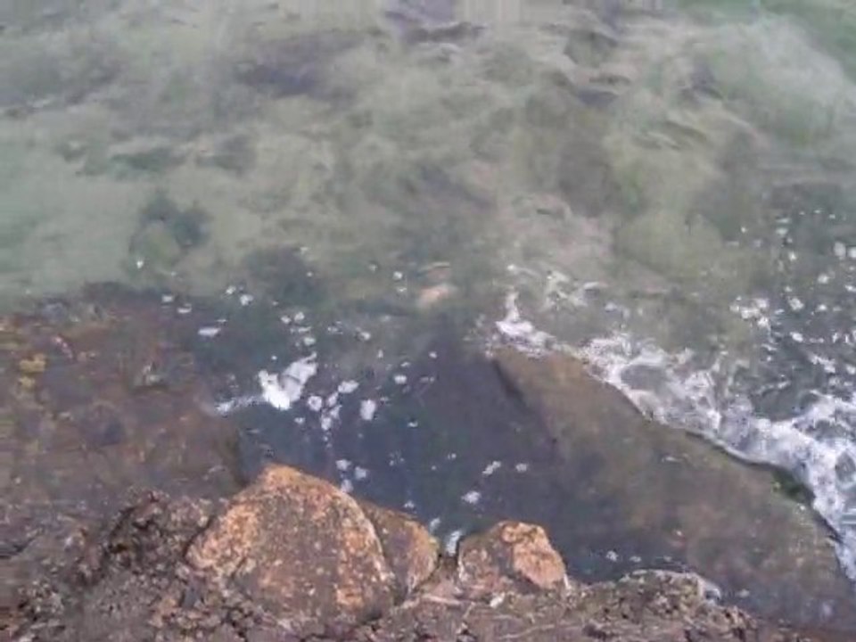 Torekov - 2010 157