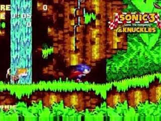 Sorties de la semaine N°3