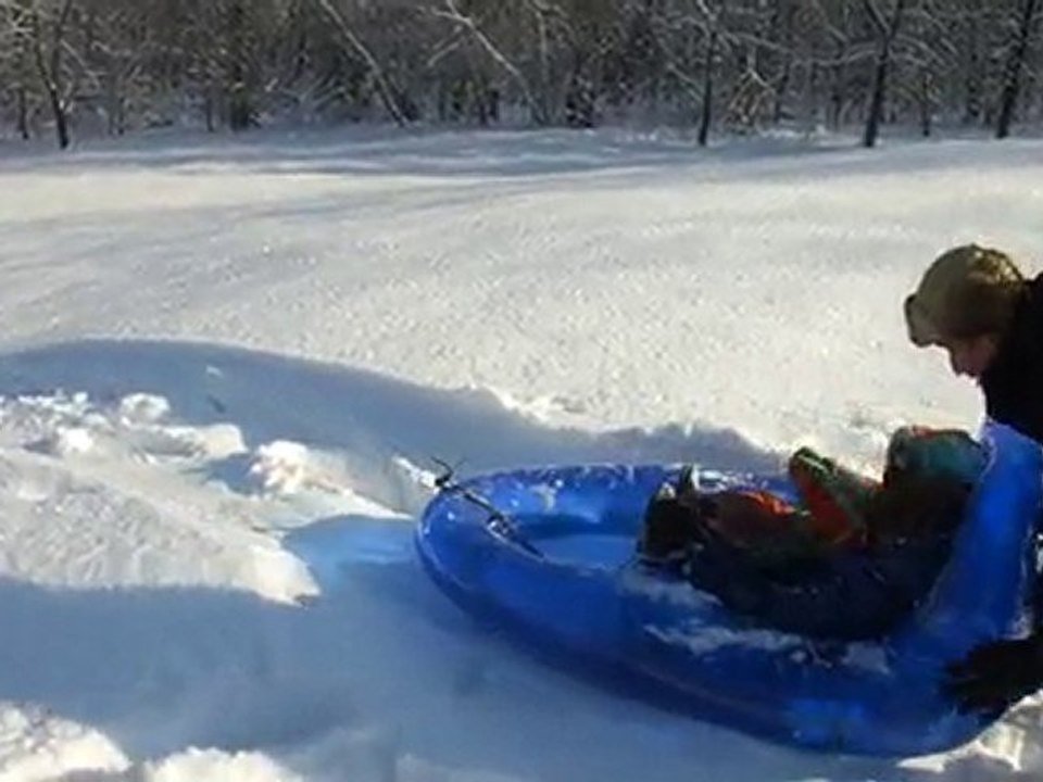 luge