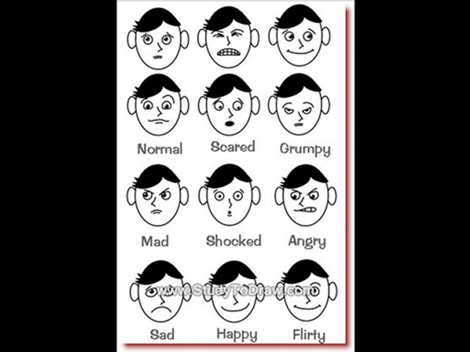 how to draw a animals workshop