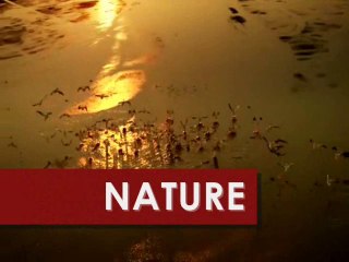 NATURE ET SPIRITUALITE