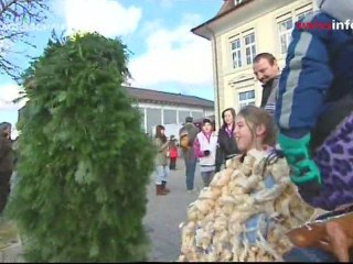 Masked fertility rituals in northwestern Switzerland