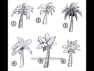how to draw a rose step by step