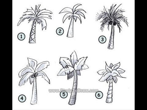 how to draw lil wayne step by step