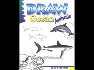 learning how to draw lessons for beginnners