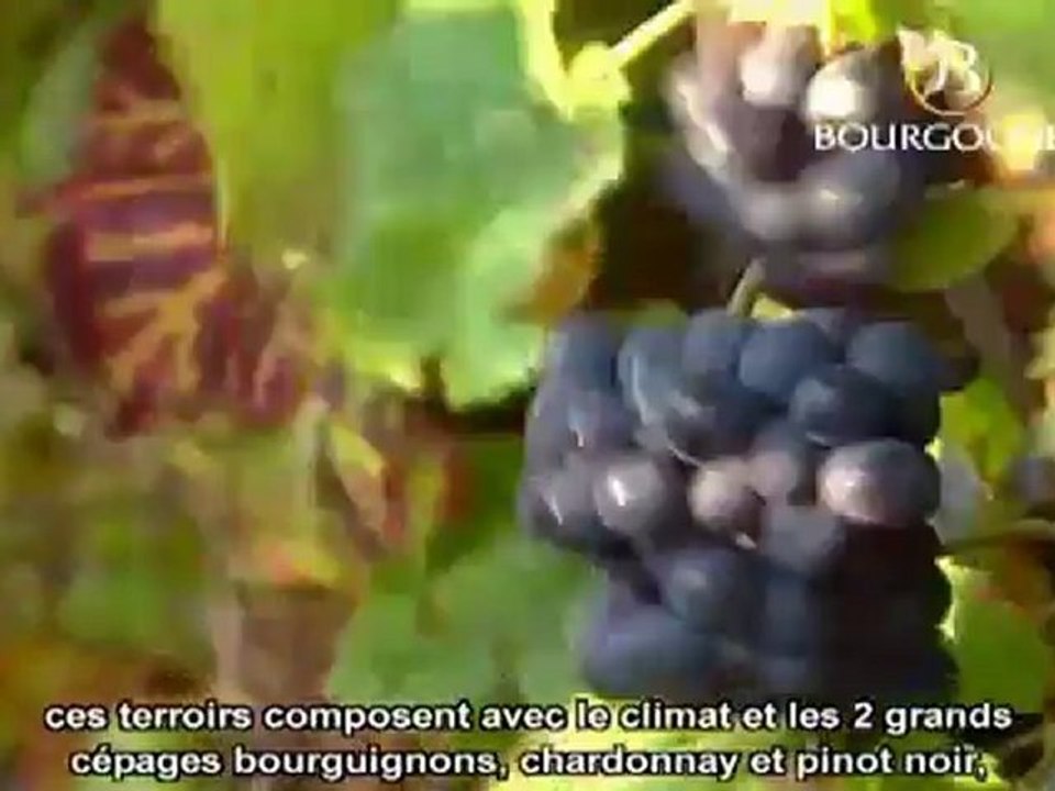 La Bourgogne - BIVB