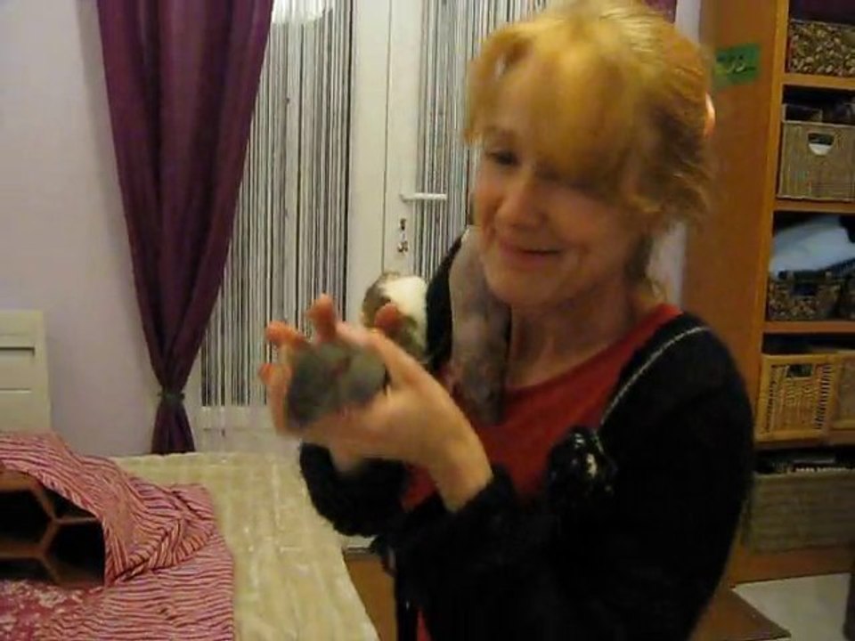 Ramsès : arbre à rats :)