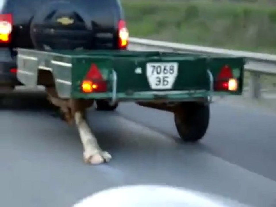 Roue de secours russe